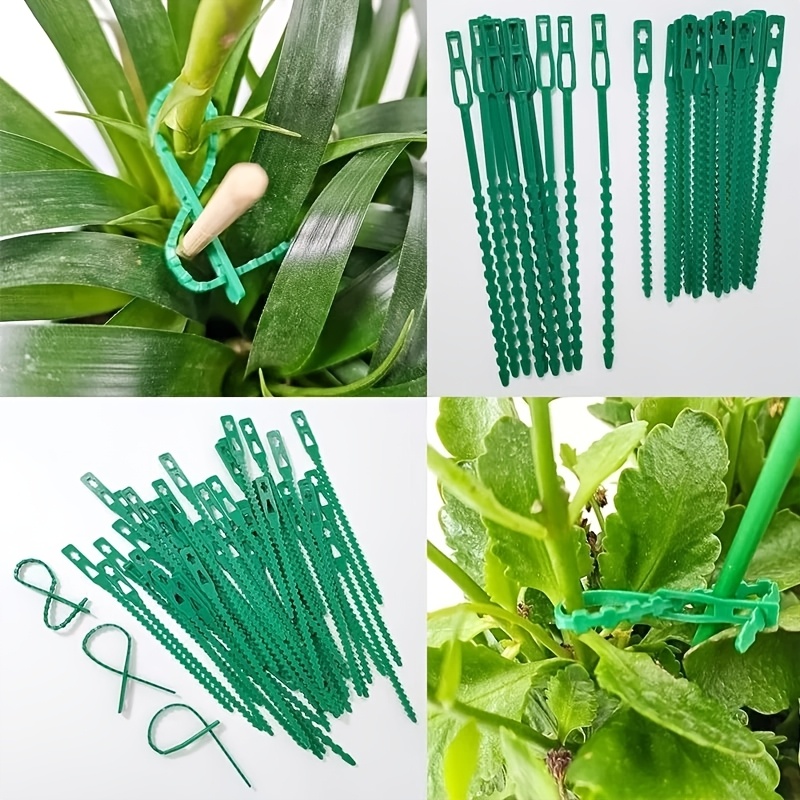 100PCS reusable adjustable pla - Vine Climbing Plastic ulasan dan harga