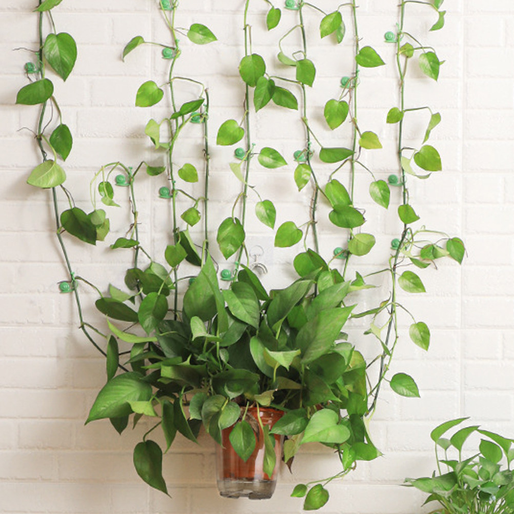 20Pcs Plant Climbing Wall Clip - Vine Climbing Plastic ulasan dan harga