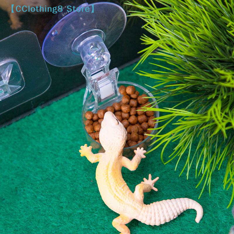 1Pcs Reptile Water Food Bowl S - Water Dish Reptile ulasan dan harga