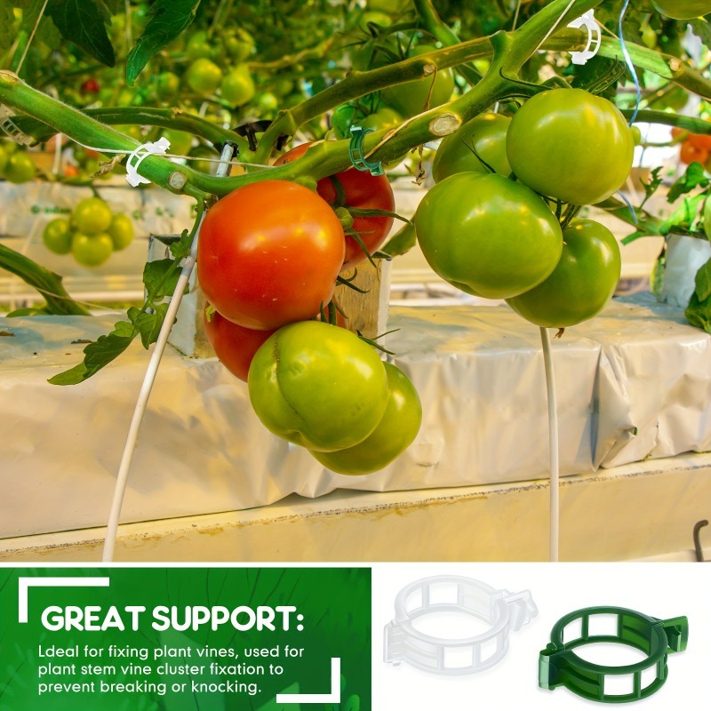 10-500Pcs Garden Plant Support - Vine Climbing Plastic ulasan dan harga