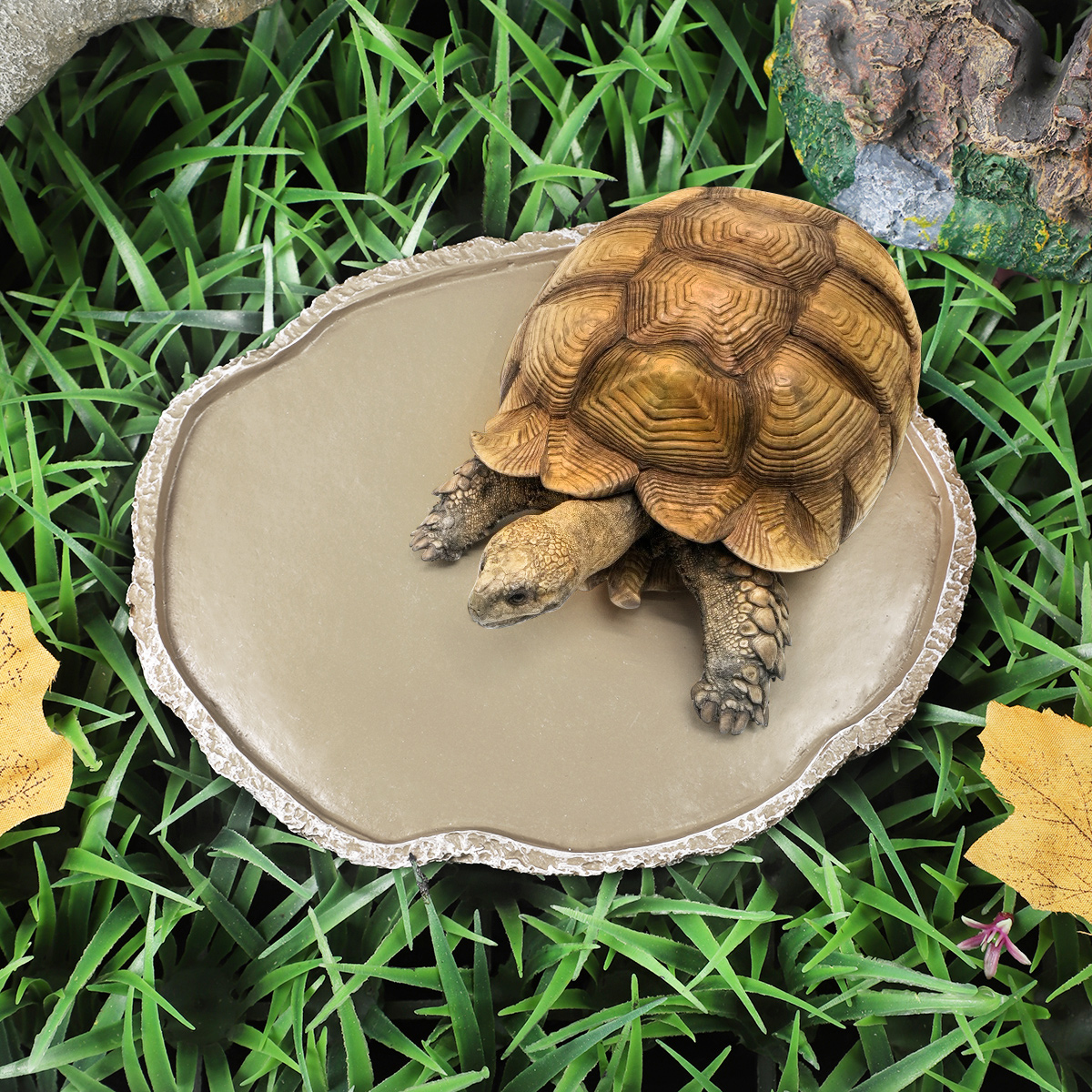 Pets Feeding Plate Reptile Fee - Water Dish Reptile ulasan dan harga