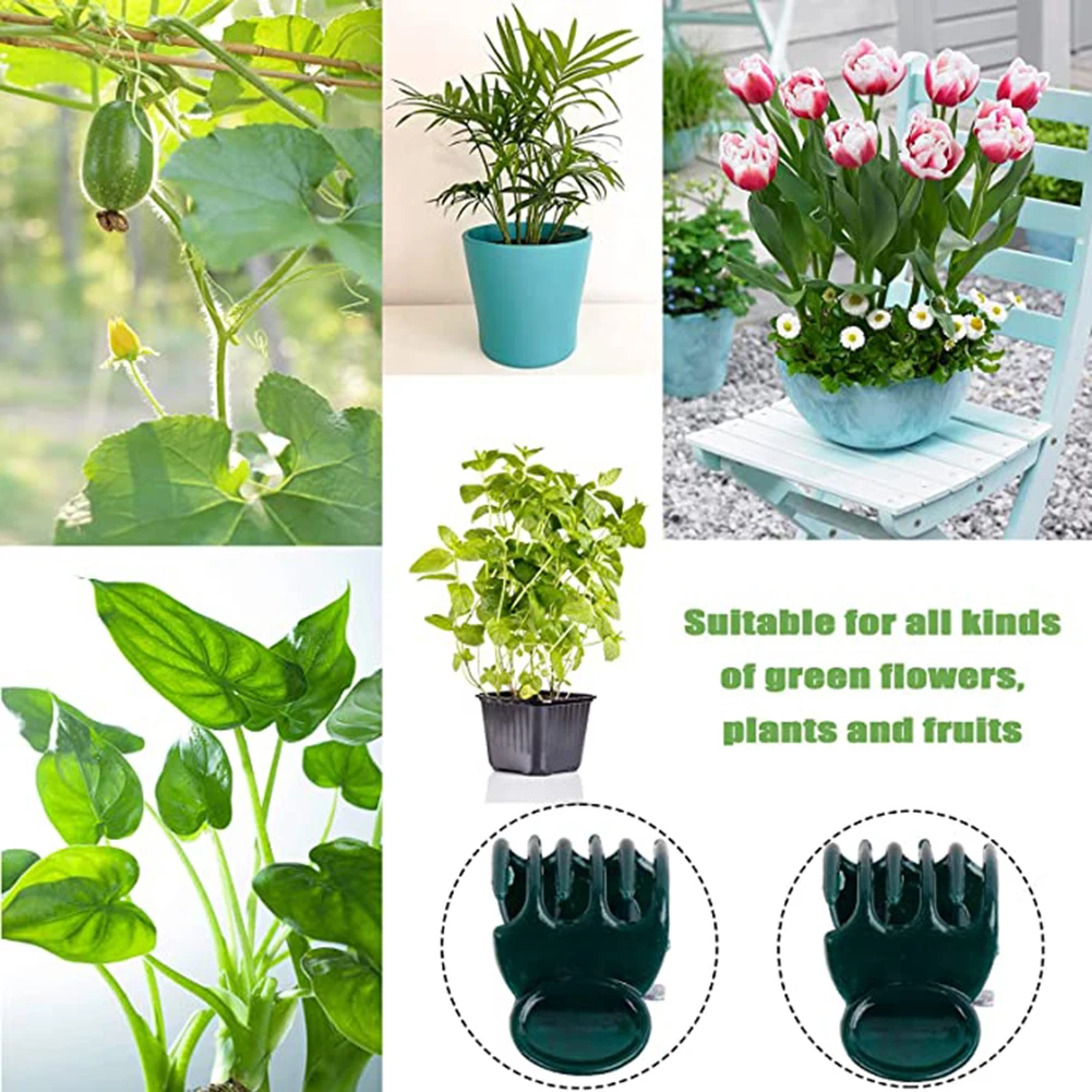 Phalaenopsis Orchid Support Cl - Vine Climbing Plastic ulasan dan harga