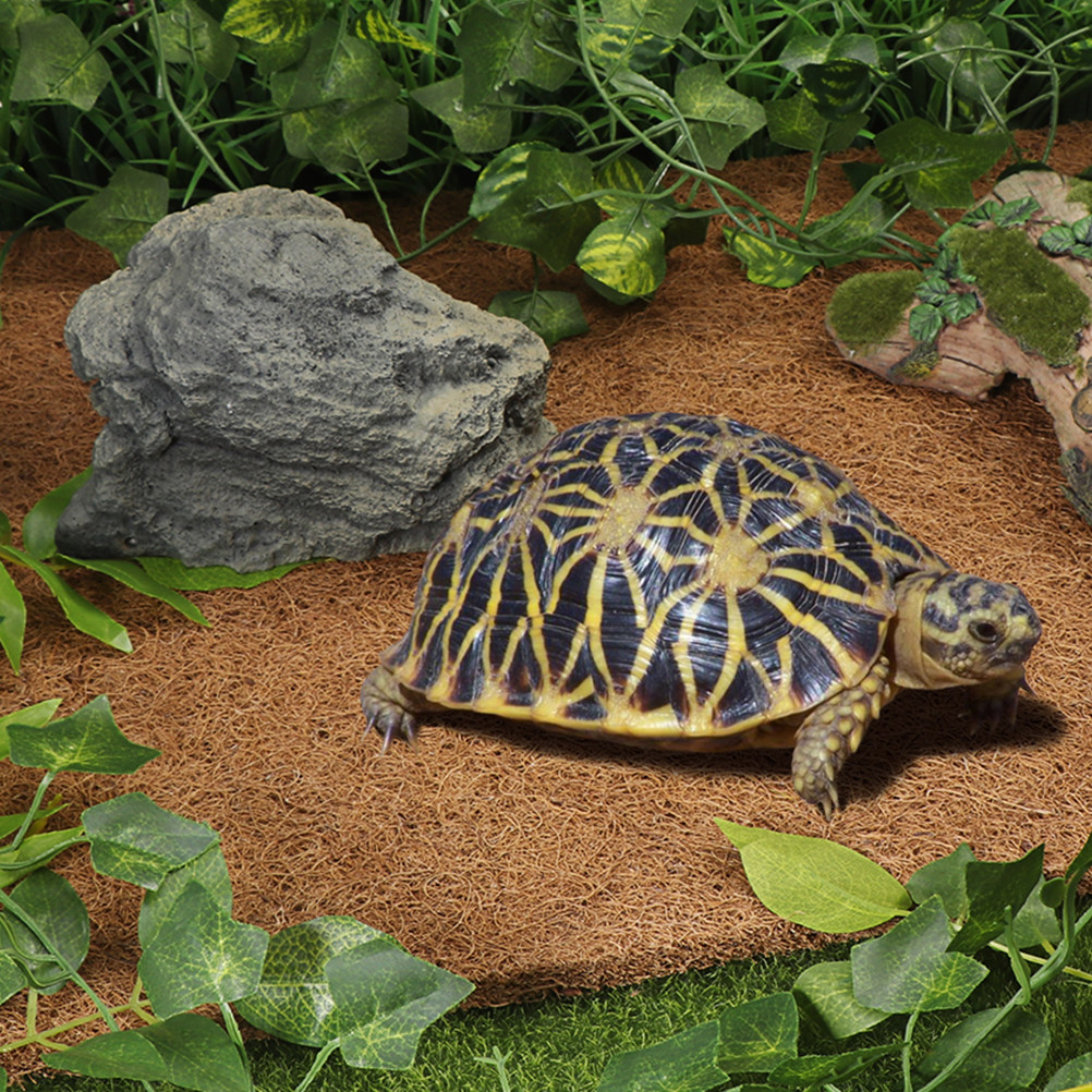 Reptile Terrarium Bedding Subs - Substrate Coconut Fiber ulasan dan harga