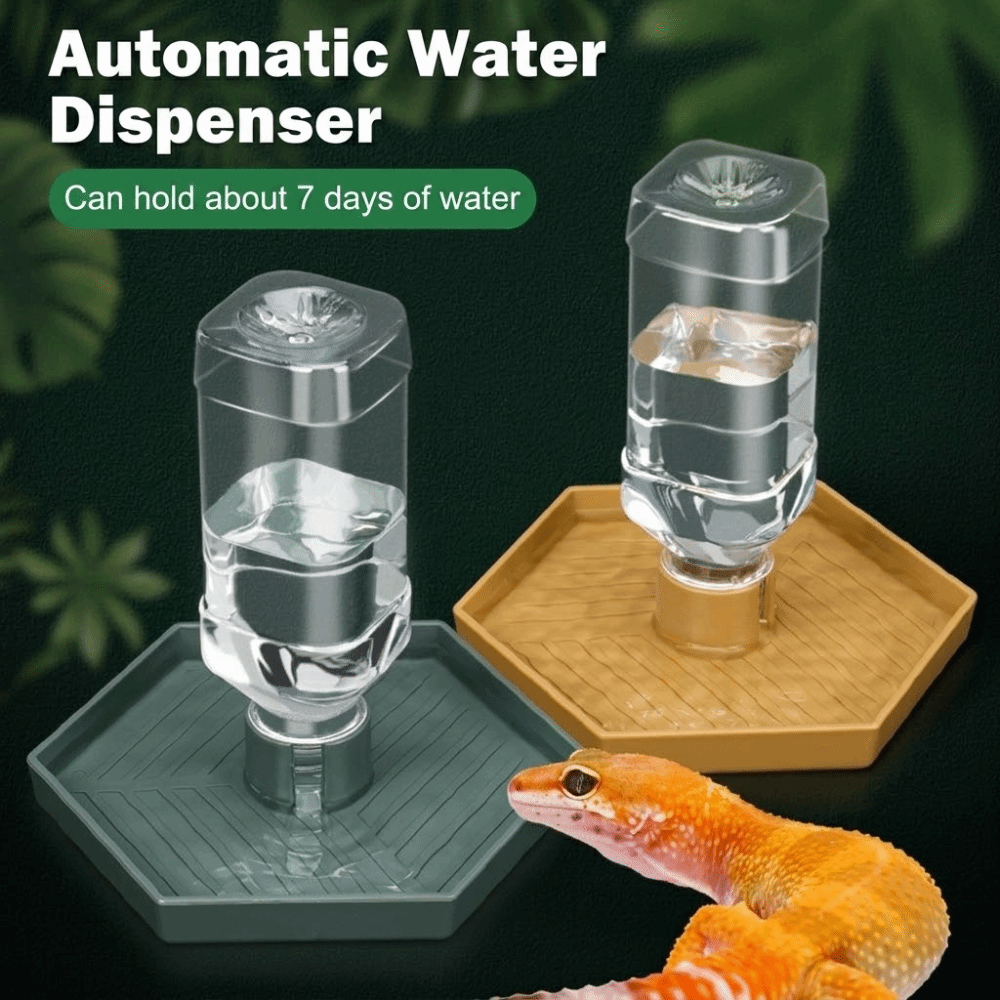 Feeding Supplies Automatic Tur - Water Dish Reptile ulasan dan harga