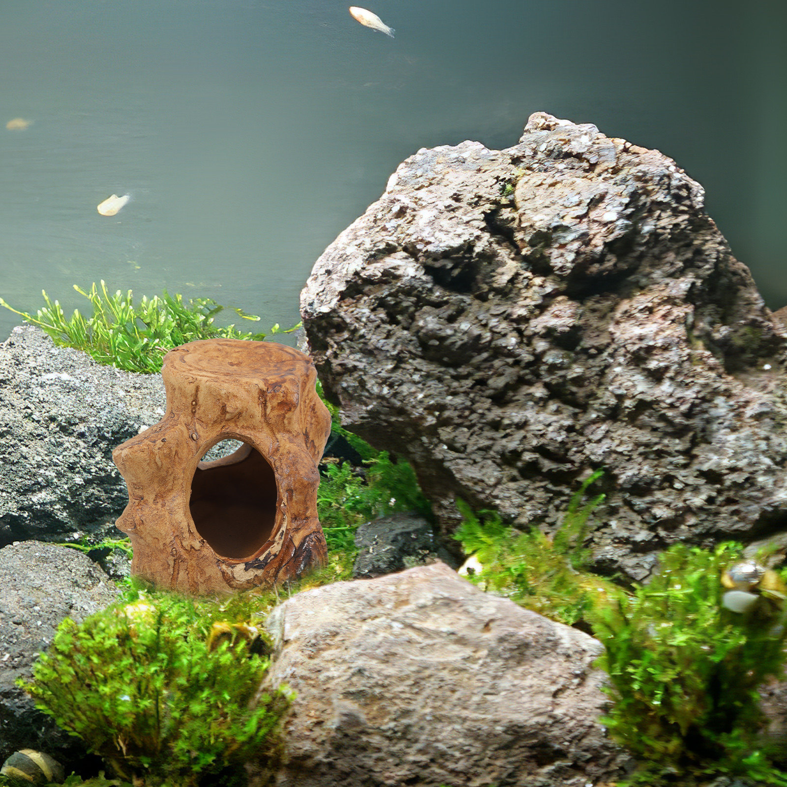 Pleco Caves Fish Tank Decorati - Hide Cave Ceramic ulasan dan harga