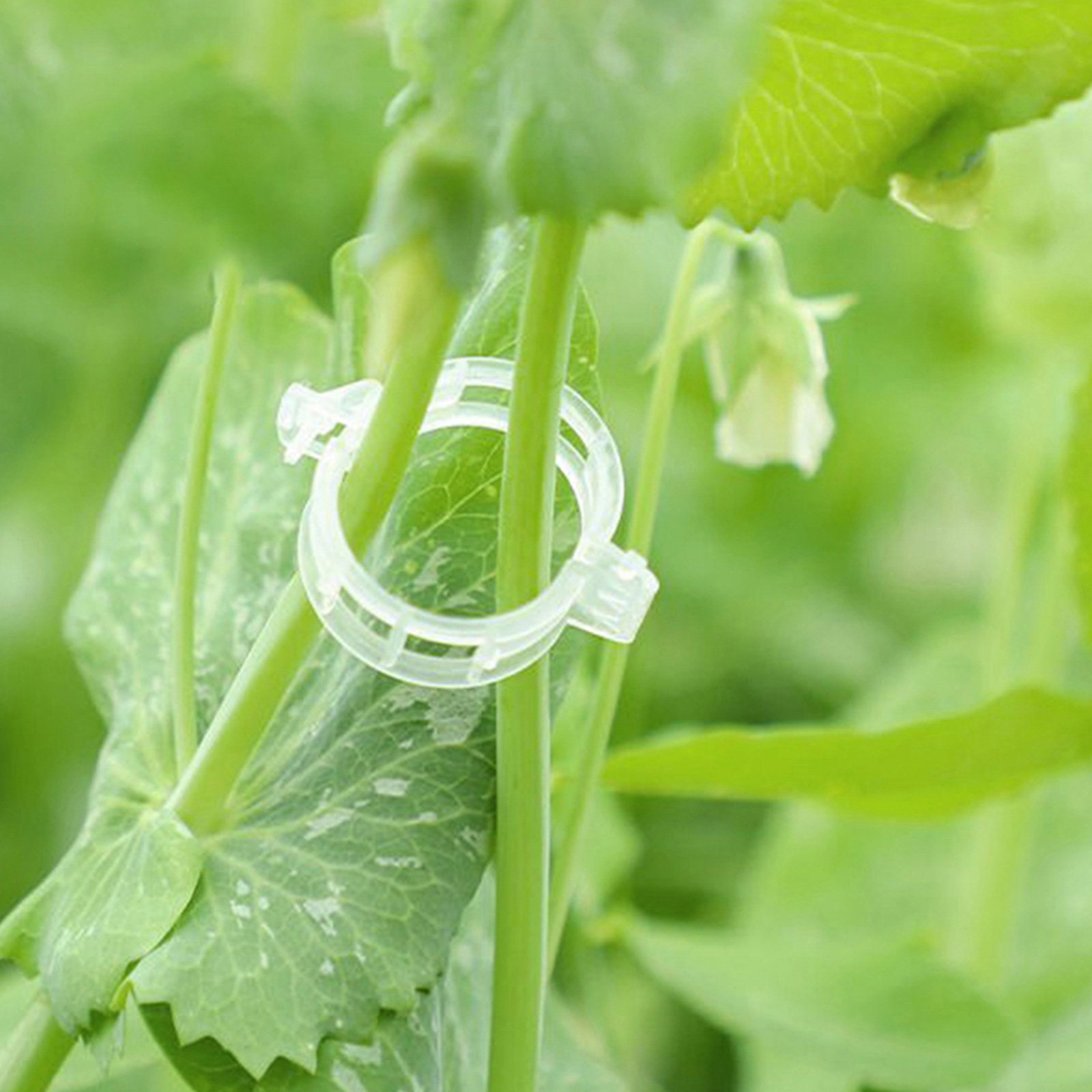 400Pcs Tomato Clips Plastic Ve - Vine Climbing Plastic ulasan dan harga