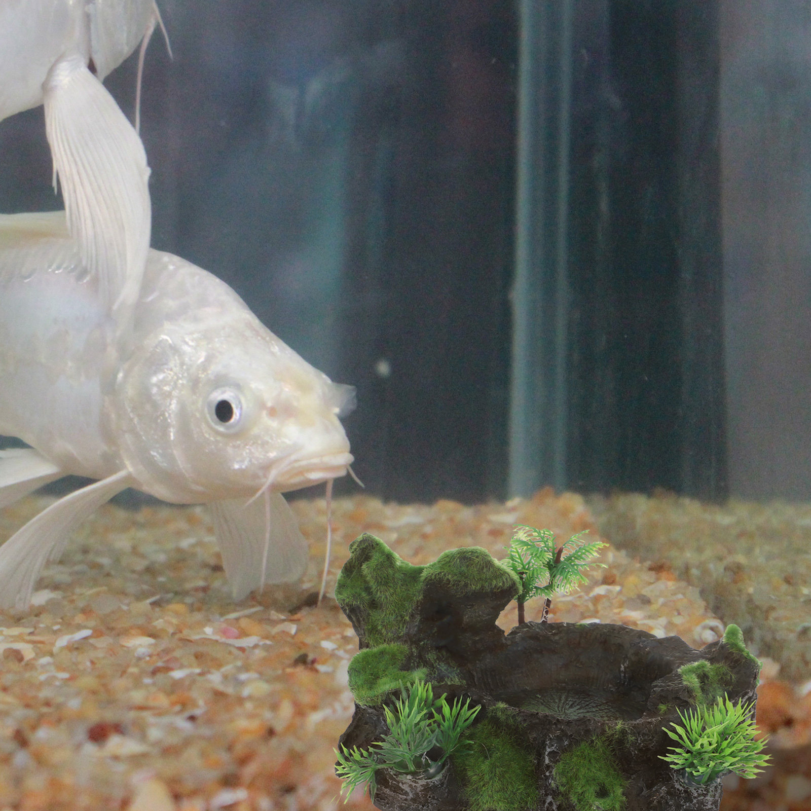 Realistic Stone Design Reptile - Water Dish Reptile ulasan dan harga