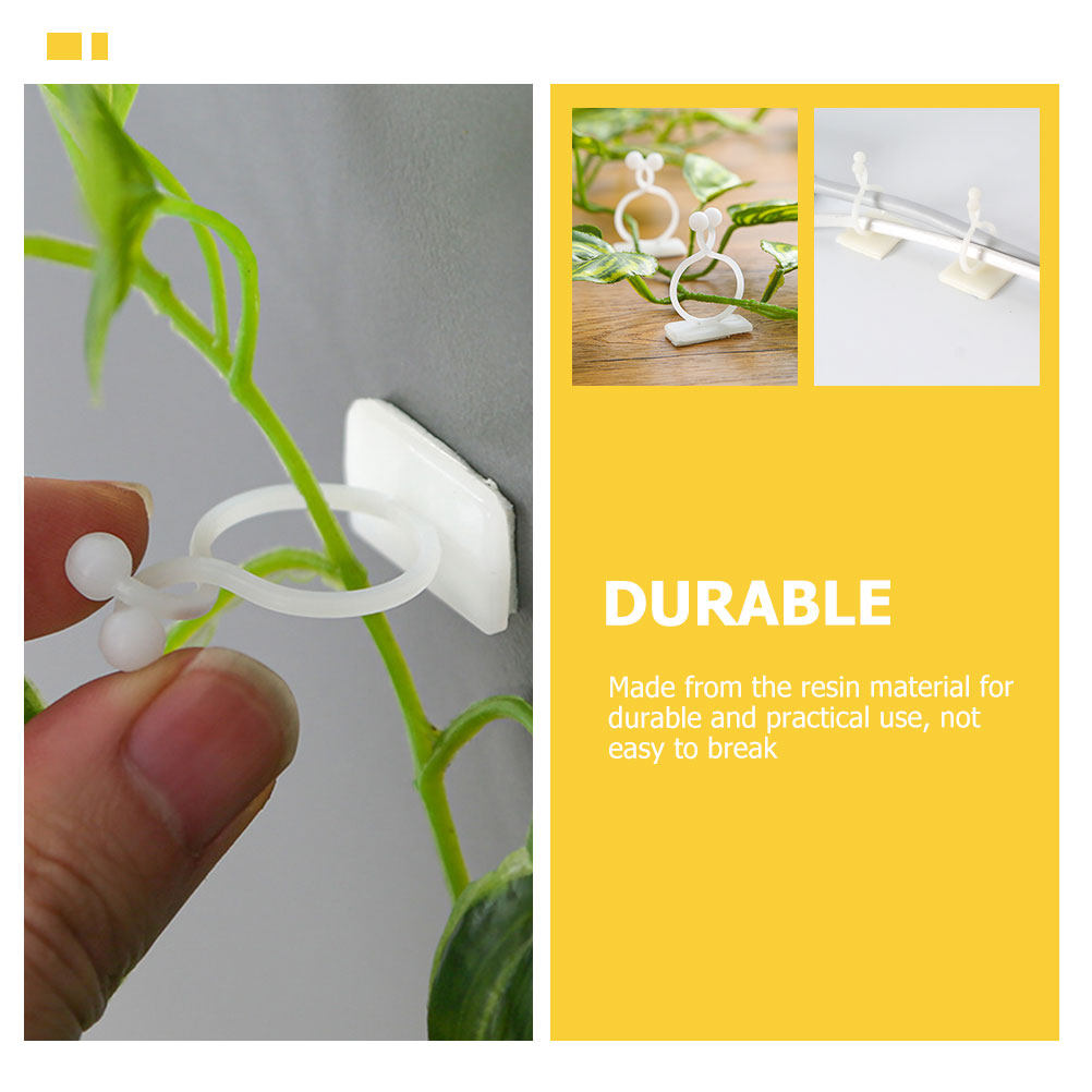 100Pcs Plant Climbing Wall Fix - Vine Climbing Plastic ulasan dan harga