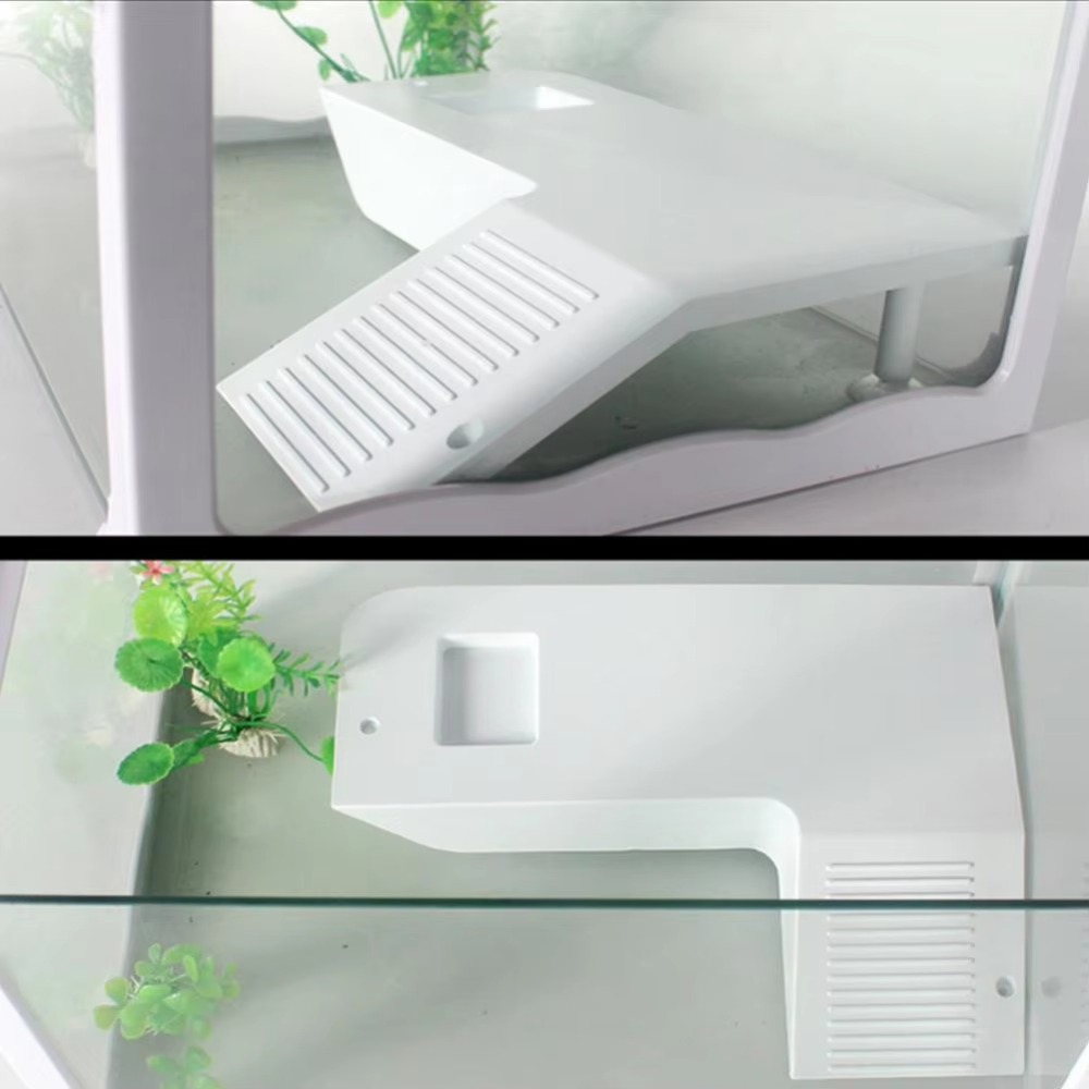 Water Land Slope Box Feeding C - Water Dish Reptile ulasan dan harga