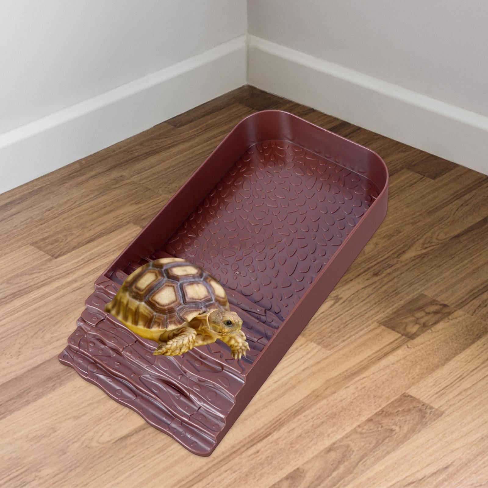 Reptile Water Bowl Accessories - Water Dish Reptile ulasan dan harga