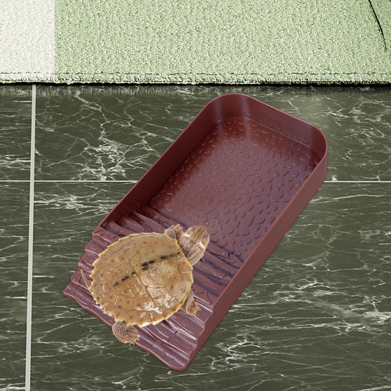 Reptile Water Bowl Accessories - Water Dish Reptile ulasan dan harga