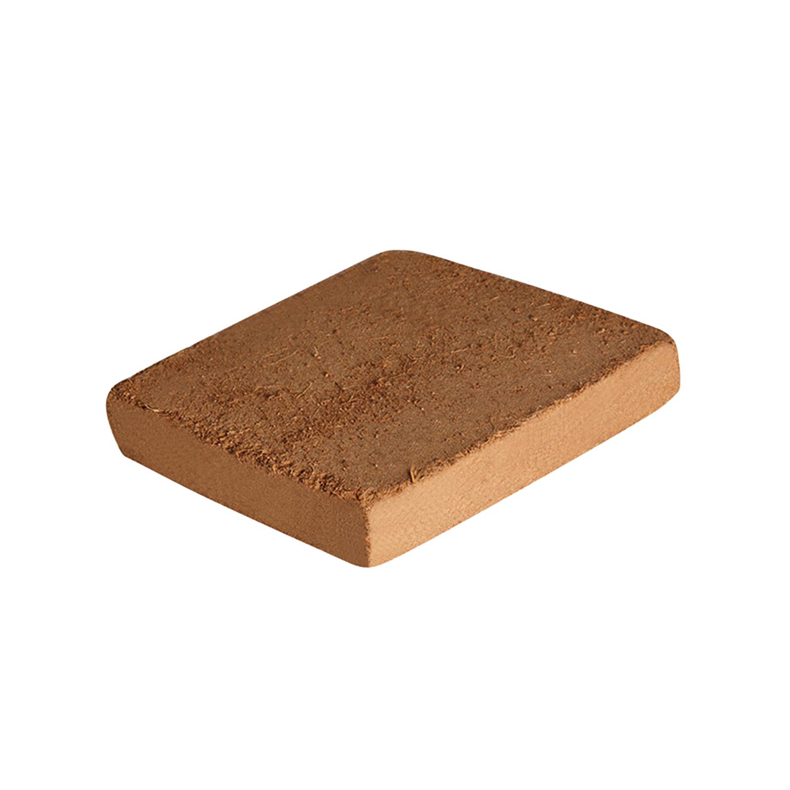 Soil Coconut Fibre Terrarium S - Substrate Coconut Fiber ulasan dan harga