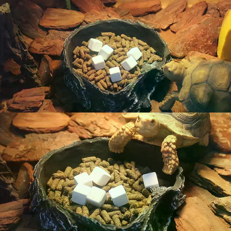 Slow Release Calcium Mineral B - Calcium Powder Reptile ulasan dan harga