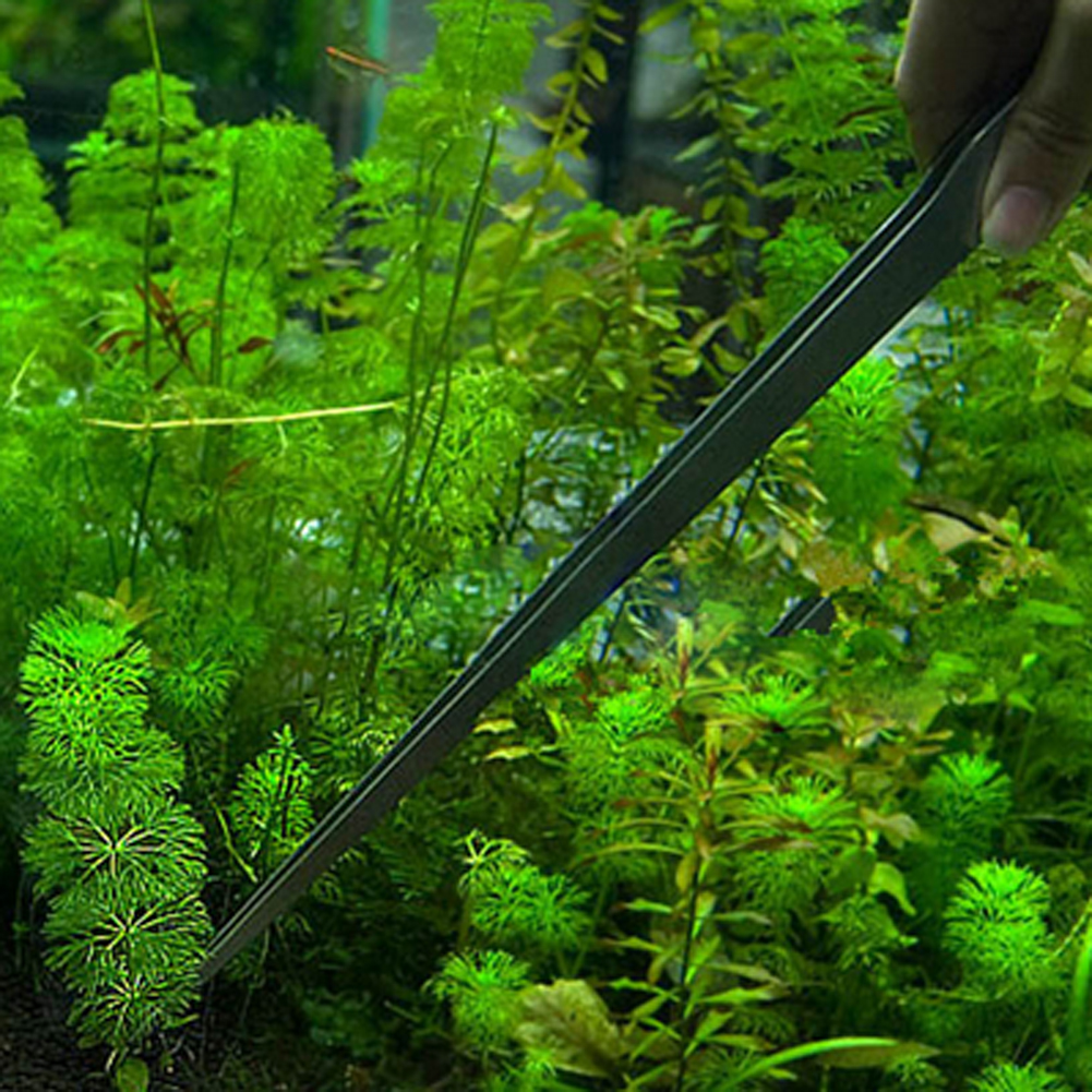 10.5 Inch Reptile Feeding Tong - Feeding Tong Stainless ulasan dan harga